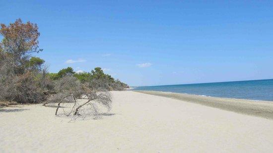 Holiday home Casa Piazza Gramsci 1 *